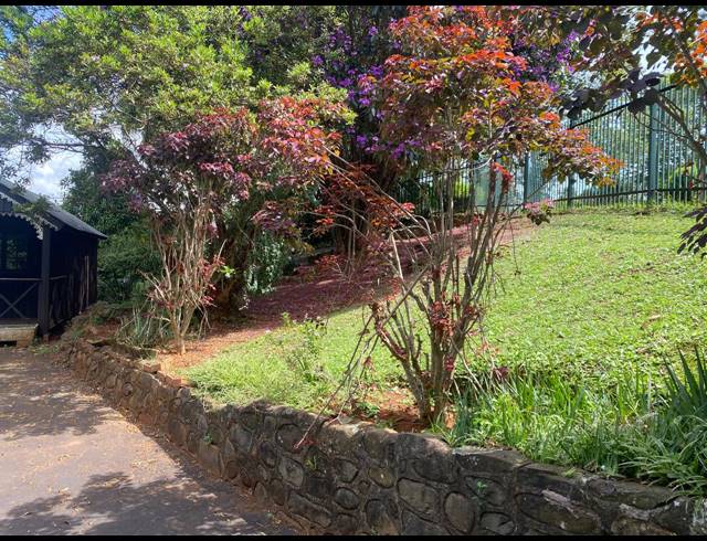 3 BEDROOM HOUSE TO LET IN CLARENDON